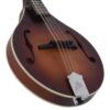 The Loar LM-110-BRB Honey Creek A-Style Mandolin