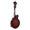 The Loar LM-310F-BRB Honey Creek F-Style Mandolin