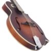 The Loar LM-310F-BRB Honey Creek F-Style Mandolin