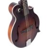 The Loar LM-310F-BRB Honey Creek F-Style Mandolin