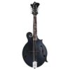 The Loar LM-549-BKM Contemporary F-Style Mandolin