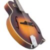 The Loar LM-590-MS Contemporary F-Style Mandolin