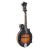 The Loar LM-600-VS Professional F-Style Mandolin