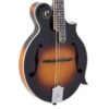 The Loar LM-600-VS Professional F-Style Mandolin