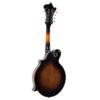 The Loar LM-600-VS Professional F-Style Mandolin