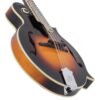 The Loar LM-600-VS Professional F-Style Mandolin