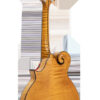 Gold Tone Grandmaster Elite F-Style Mandolin Honey Amber 13