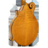 Gold Tone Grandmaster Elite F-Style Mandolin Honey Amber 15