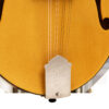 Gold Tone Grandmaster Elite F-Style Mandolin Honey Amber 17