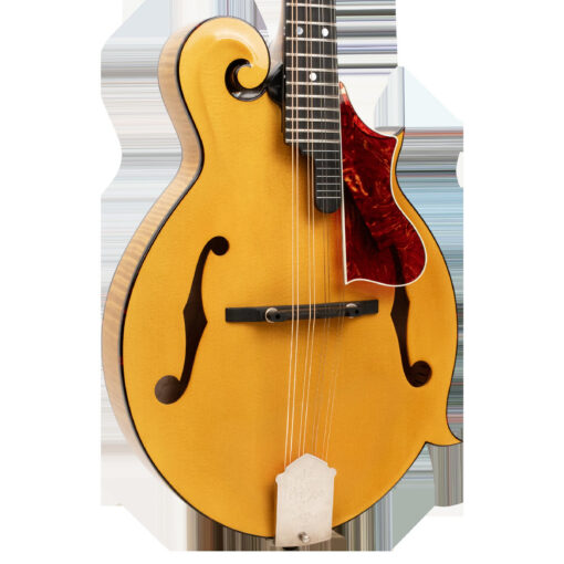 Gold Tone Grandmaster Elite F-Style Mandolin Honey Amber 2