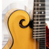 Gold Tone Grandmaster Elite F-Style Mandolin Honey Amber 4