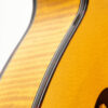 Gold Tone Grandmaster Elite F-Style Mandolin Honey Amber 6