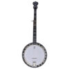 Deering Sierra maple banjo, straight-on front view