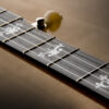 Deering Sierra engraved fingerboard inlays