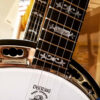 Deering Sierra maple banjo neck and pot