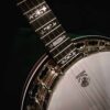 Deering Sierra banjo neck-to-pot detail with the bell bronze tone ring
