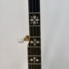 Ebony fingerboard with hearts and flowers pearl inlay, lower position