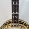 Upper fingerboard with hearts and flowers inlay and the Mastertone block