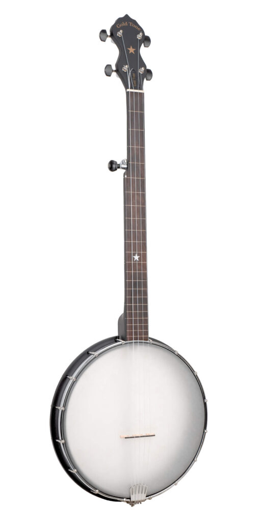 Gold Tone AC-12FL Fretless 12" Acoustic Composite 5-String Openback Banjo with Gig Bag