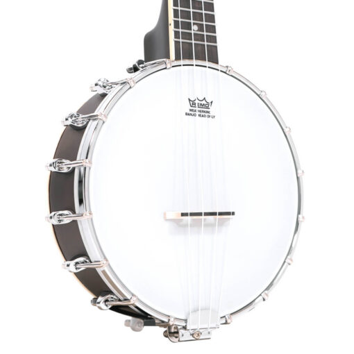 Alternative view of Gold Tone BUS: Soprano-Scale Banjo Ukulele with Hardshell Case
