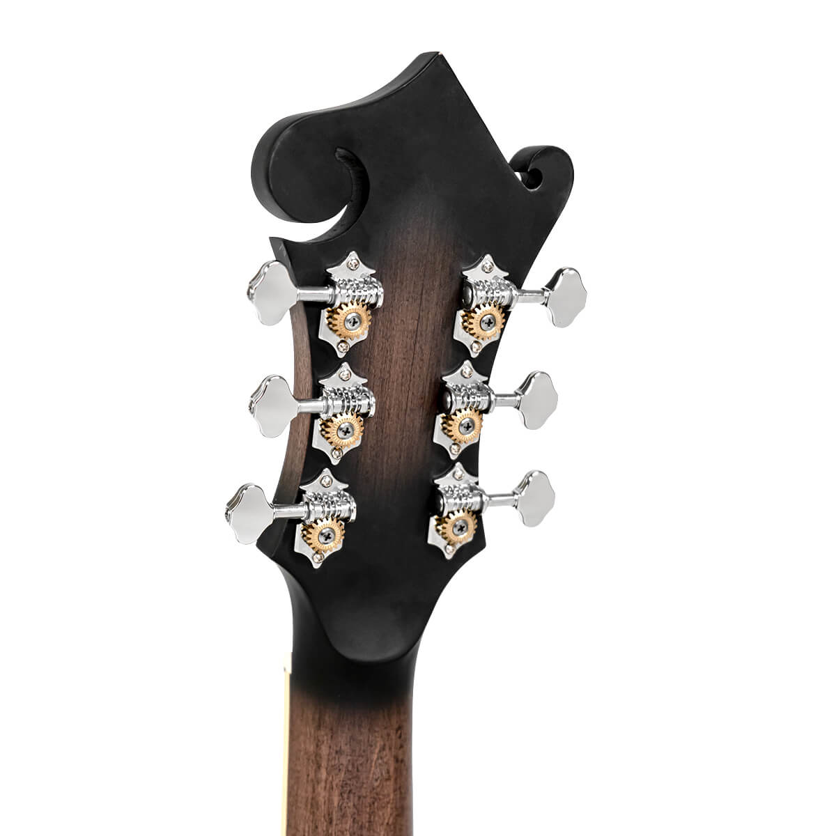 Gold Tone F-6 F-Style Mando-Guitar with Pickup and Case - Image 7