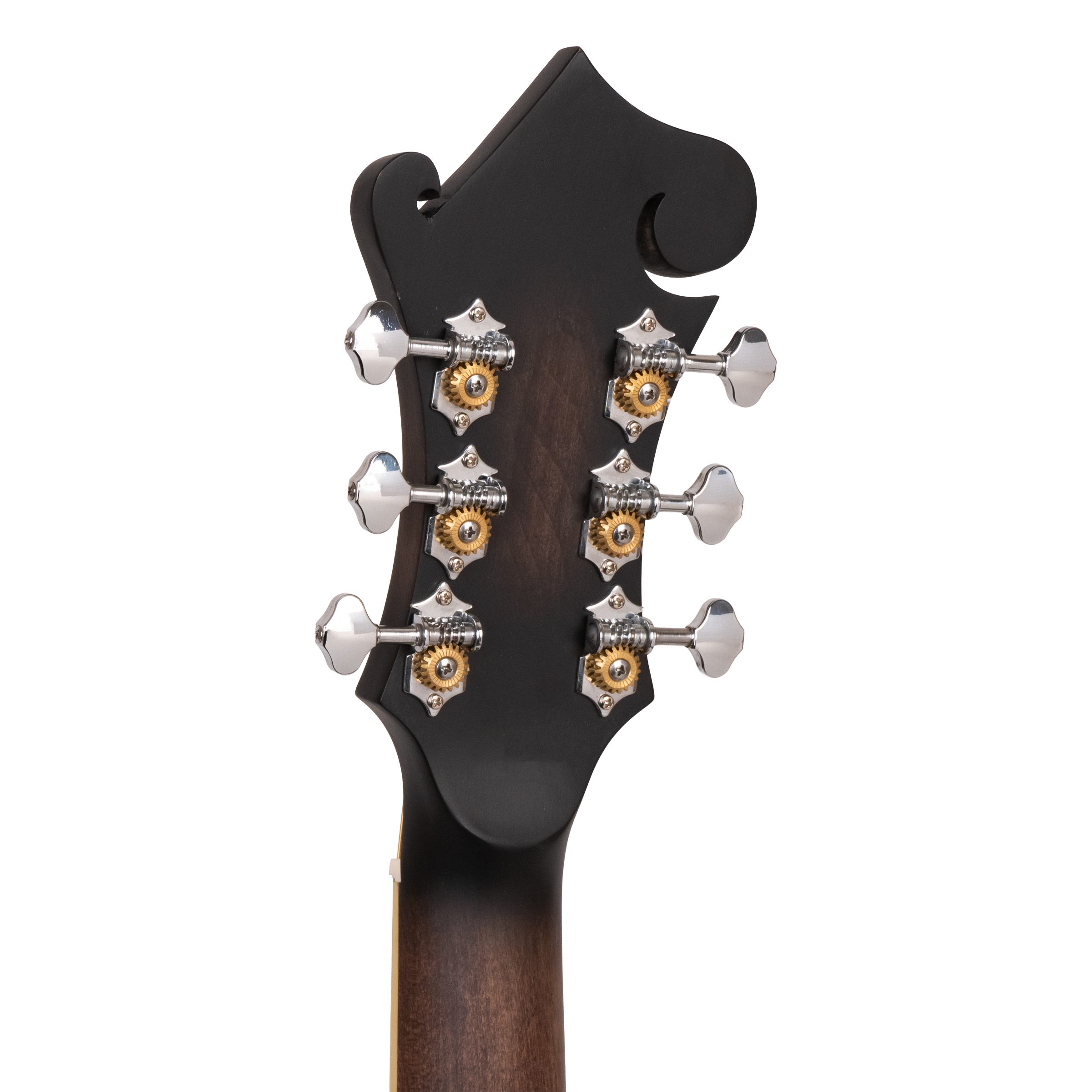 Gold Tone F-6/L F-Style Mando-Guitar Left-Handed with Pickup and Case - Image 7