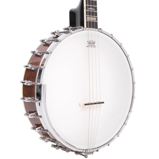 Alternative view of Gold Tone IT-250 Irish Tenor Banjo with Case