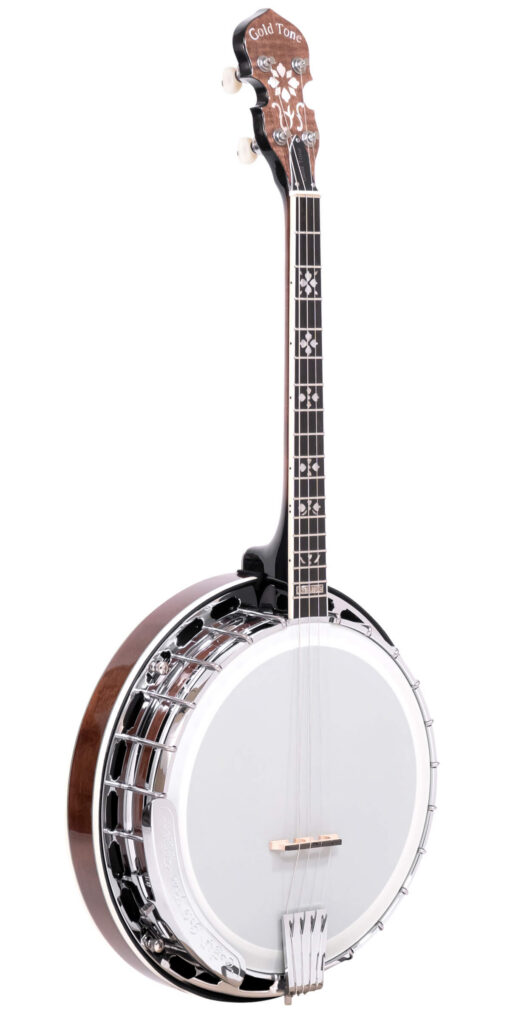 Gold Tone IT-250F Irish Tenor Banjo with Case