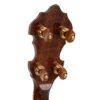 Back of the peghead on the Gold Tone OB-3CJ Ruby Pearl banjo, showing the figured mahogany in gloss vintage brown and the four gold plated Gotoh planetary tuners with amber buttons.