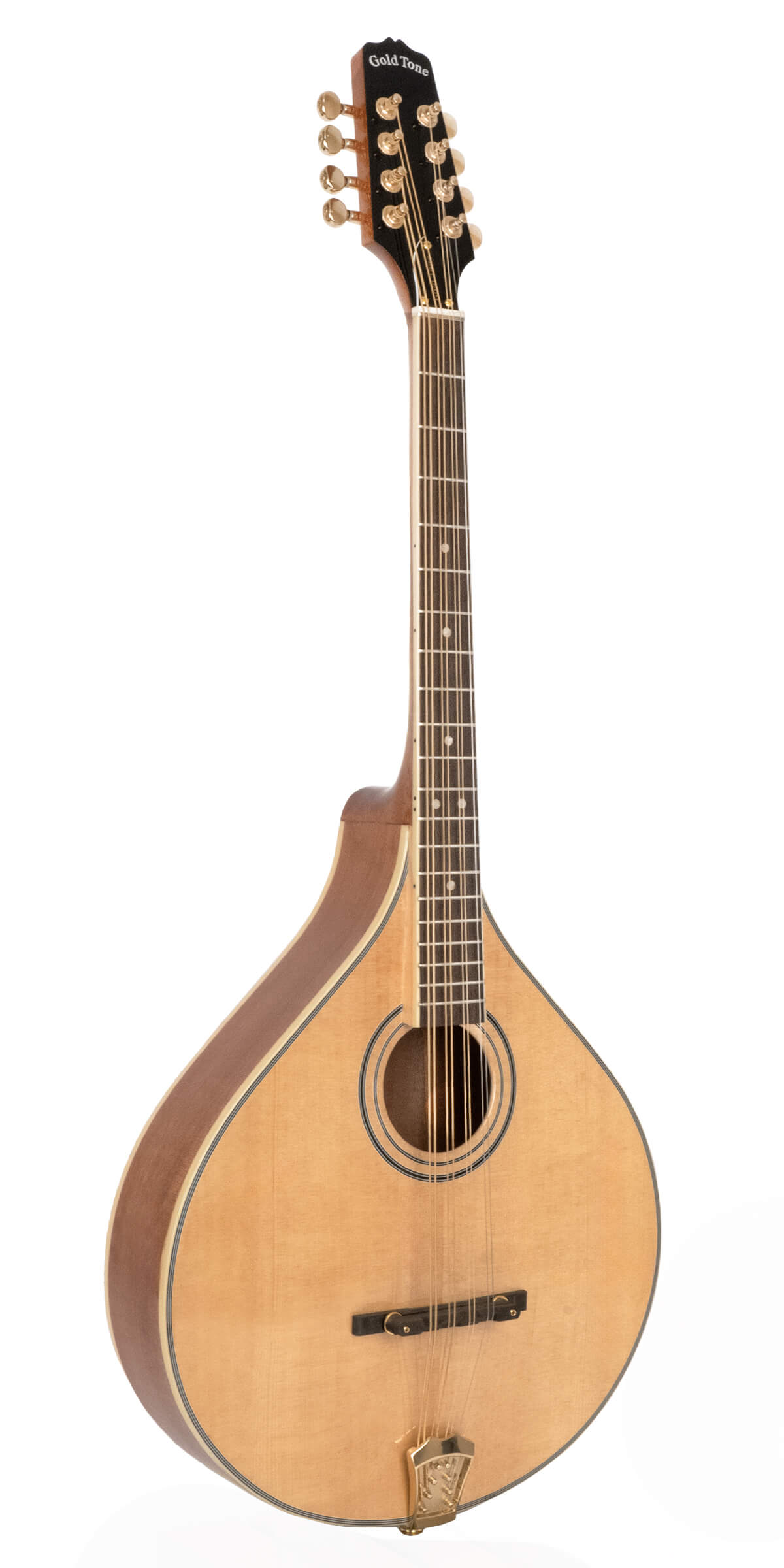 Gold Tone OM-800+/L Octave Mandolin Left-Handed with Case