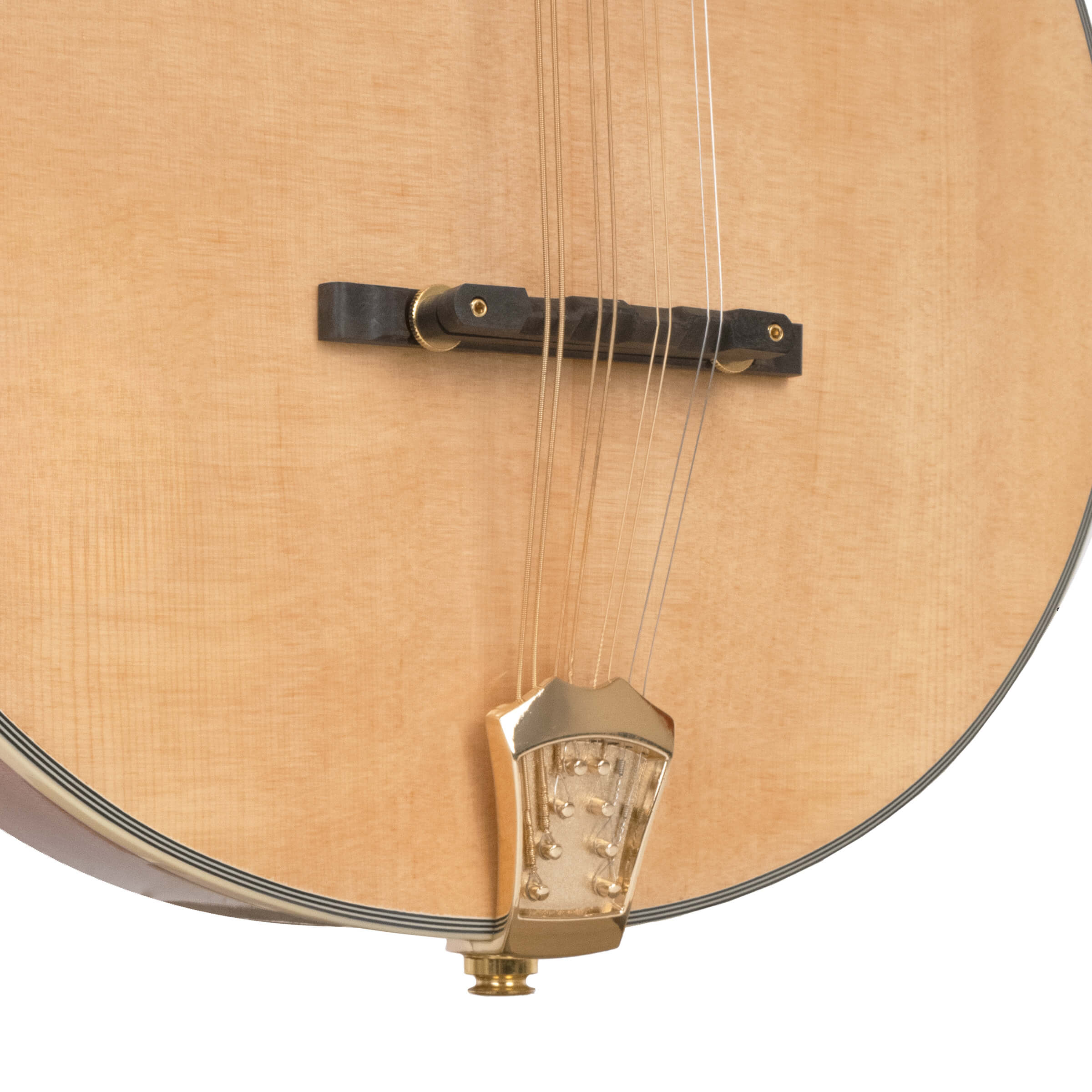 Gold Tone OM-800+/L Octave Mandolin Left-Handed with Case - Image 3