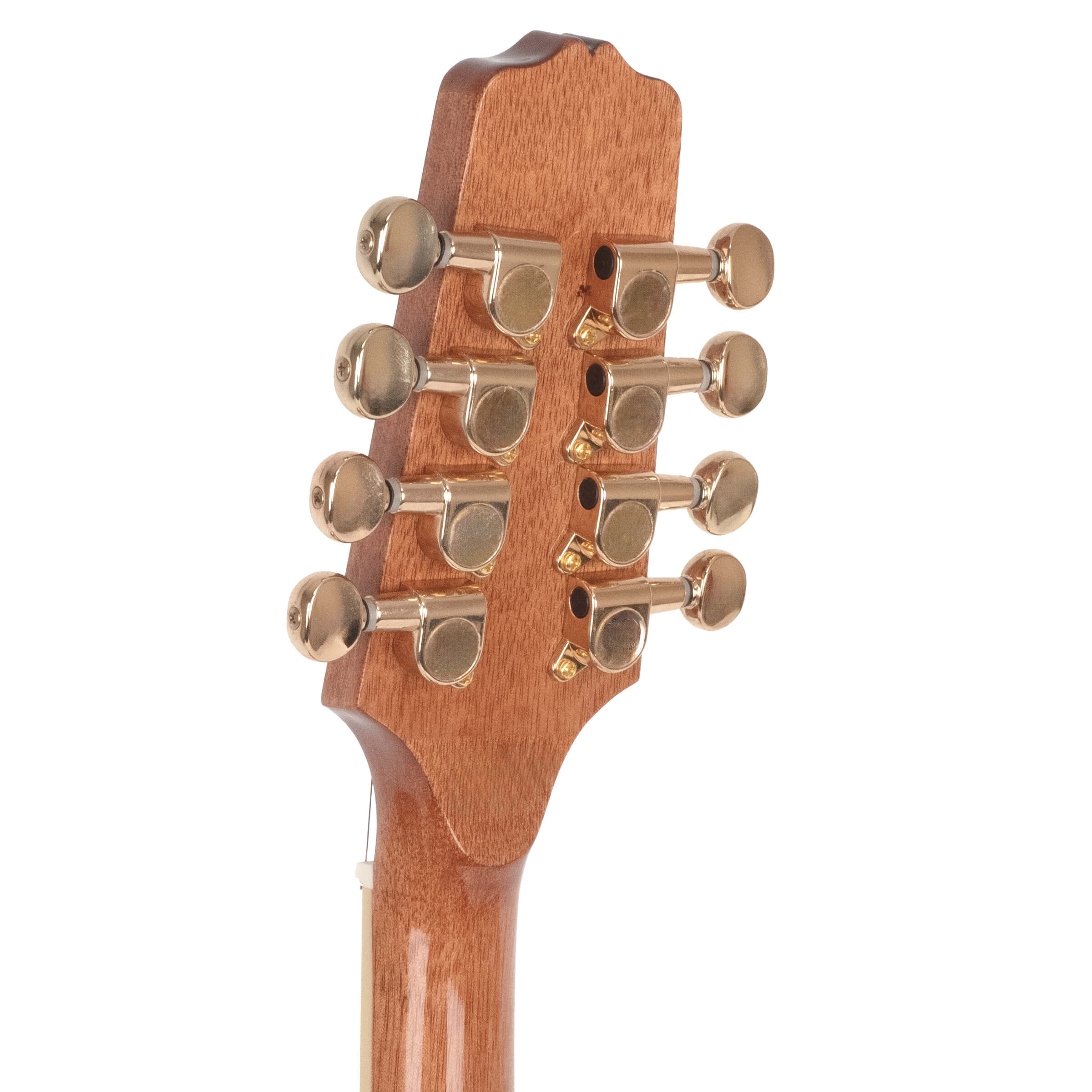 Gold Tone OM-800+/L Octave Mandolin Left-Handed with Case - Image 7