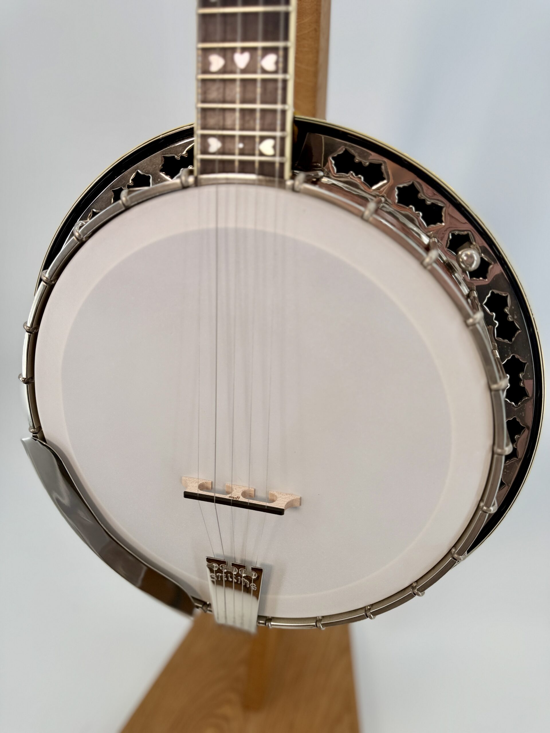 Front of the Stelling Sunflower pot with the maple bridge and Stelling engraved tailpiece