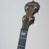 Deering Artisan Goodtime Two 5-String Banjo