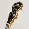 Deering Calico 5-String Banjo