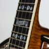 Deering Calico 5-String Banjo