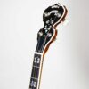 Deering Calico 5-String Banjo