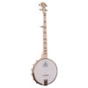 Deering Goodtime Acoustic/Electric 5-String Banjo