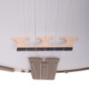 Deering Goodtime Parlor 5-String Banjo
