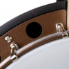 Deering Goodtime Special 5-String Banjo