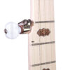 Deering Goodtime Special 5-String Banjo