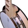 Deering Goodtime Special 5-String Banjo