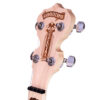 Deering Goodtime Special 5-String Banjo