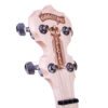 Deering Goodtime Special 5-String Banjo
