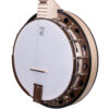 Deering Goodtime Special 5-String Banjo