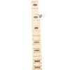 Fifth string peg mounted on the right side of the neck, confirming the true left-handed build of this Deering Goodtime Two banjo.
