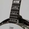 Deering Rustic Wreath 5-String Banjo