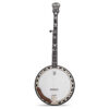 Deering Scott Avett "Truth" Signature 5-String Banjo