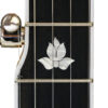 Deering White Lotus 5-String Banjo