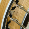 Deering White Lotus 5-String Banjo
